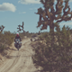 Illustration for article titled The Stunning Beauty Of A Winter Motorcycle Trip Into The Mojave Desert